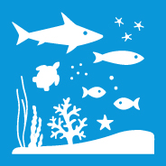 14.2 PROTECT AND RESTORE ECOSYSTEMS 