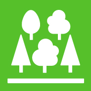 15.2 END DEFORESTATION AND RESTORE DEGRADED FORESTS 