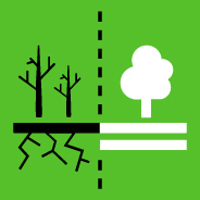 15.3 END DESERTIFICATION AND RESTORE DEGRADED LAND 