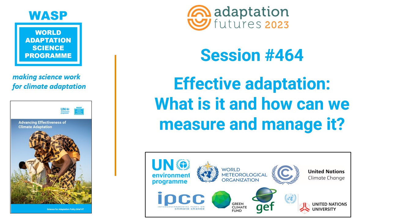 Adaptation effectiveness, Adaptation Futures 2023