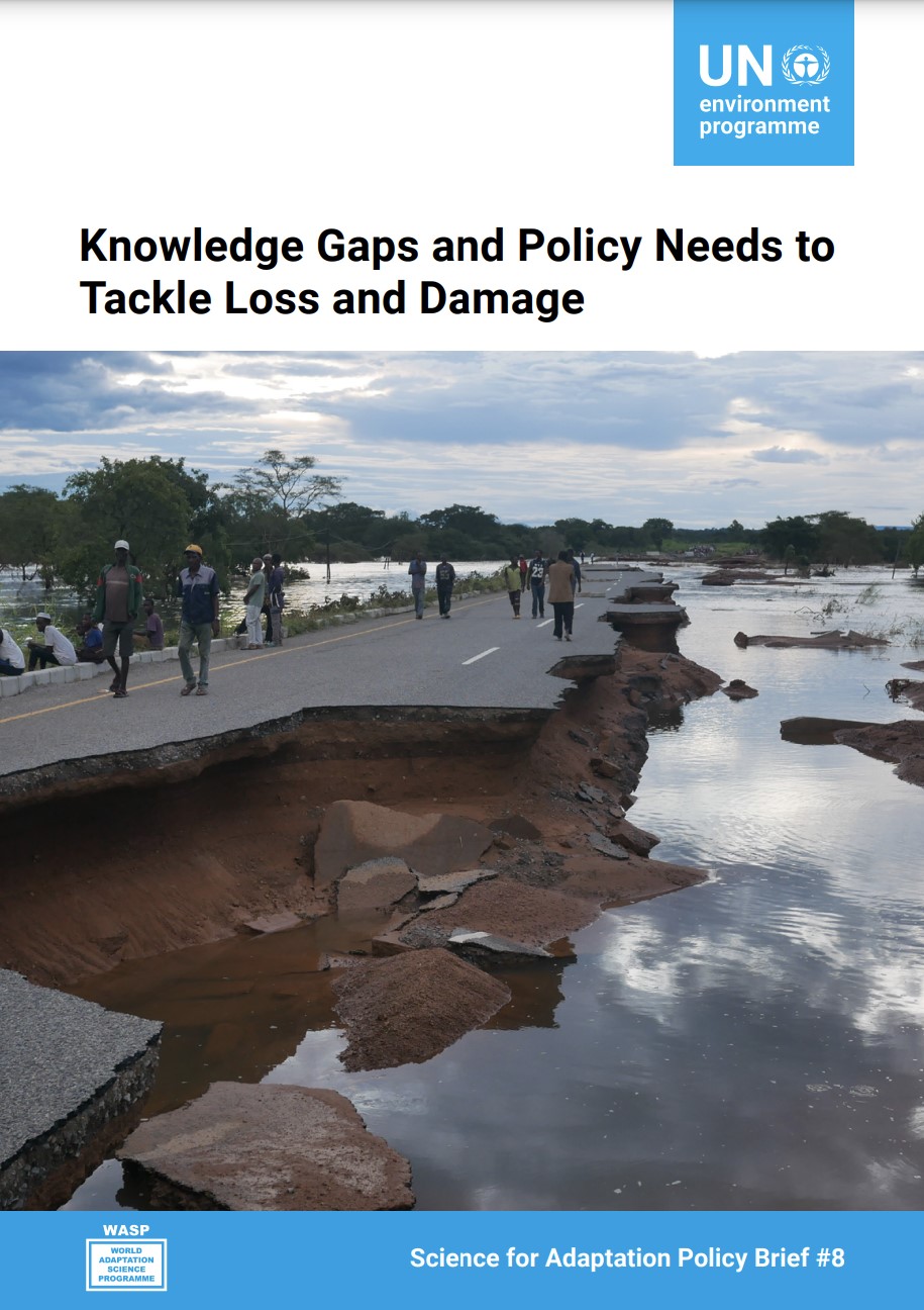 Knowledge Gaps and Policy Needs to Tackle Loss and Damage