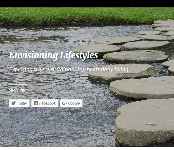 Envisioning Lifestyles