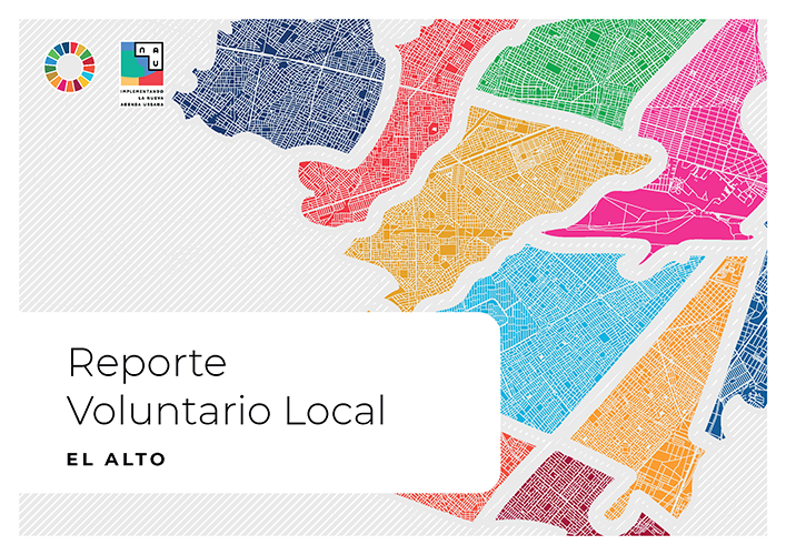 Reporte Voluntario Local El Alto