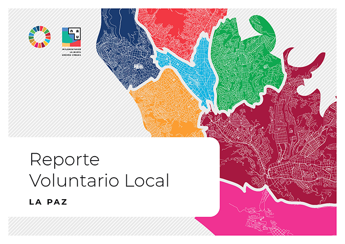 Reporte Voluntario Local La Paz