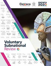 Voluntary-Subnational-Report