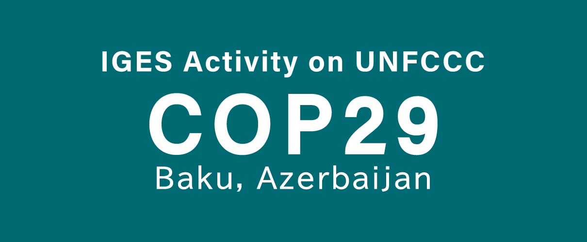 UNFCCC COP29