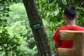 Tree labeling activity at Kep National Park
